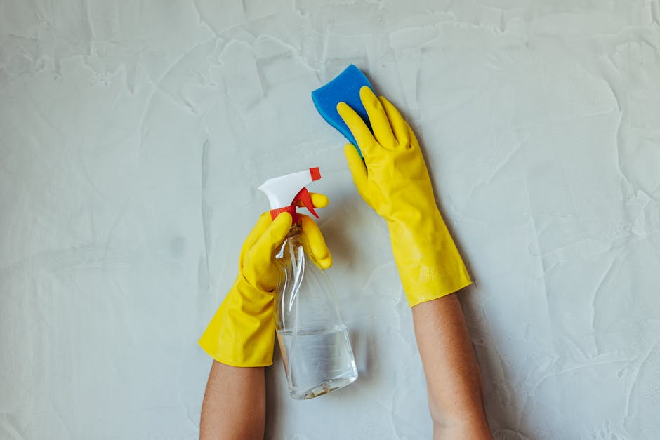 Weekly Deep Clean